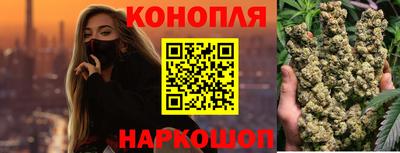 сатива Кунгур