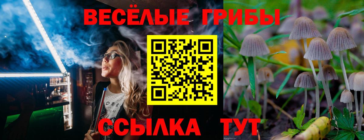 где продают   Псилоцибиновые грибы ЛСД  Вход с VPN  Щёлково 